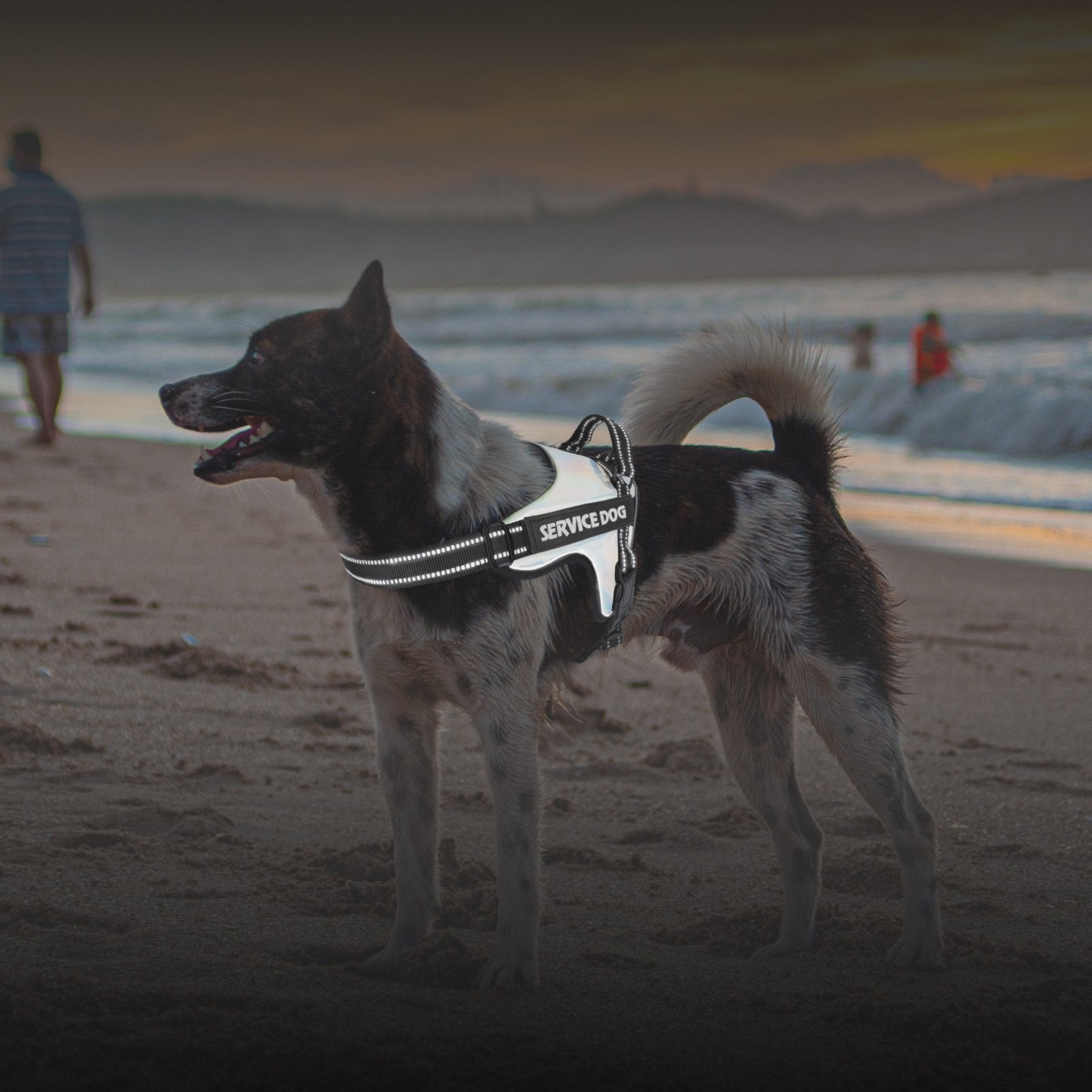 Dog Traction Rope Vest for Large and Medium Dogs