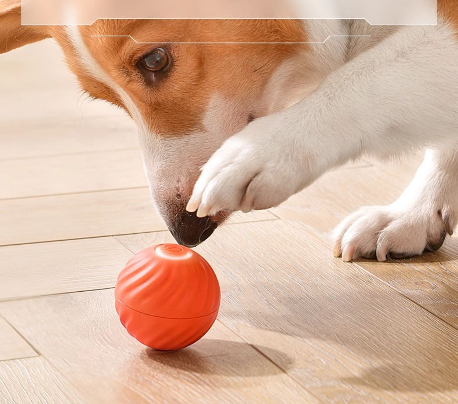 Gravity Rechargeable Interactive Dog Ball