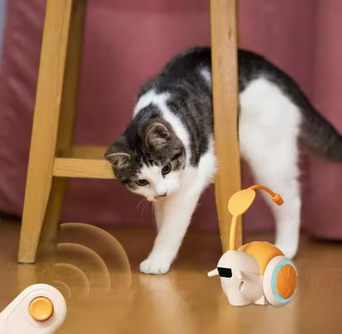 Inflated Ego Cat Teaser Stick
