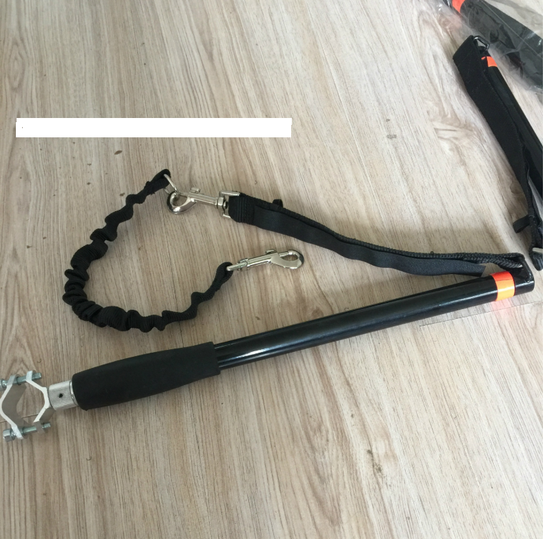 Bicycle Dog Leash with Removable Attachment
