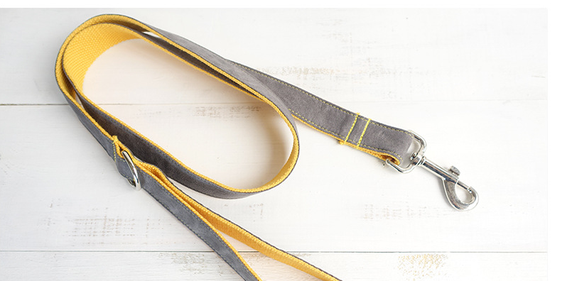 Leash and Collar Set for Dogs