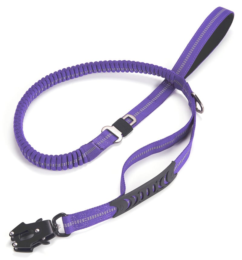 Dog Vehicle Leash
