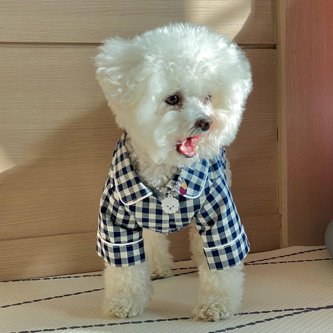 Korea Plaid Khaki Blue Dog Pajamas with Pockets