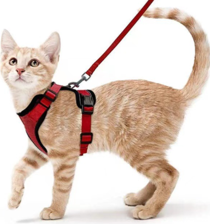 Reflective Breathable Chest Strap for Cats