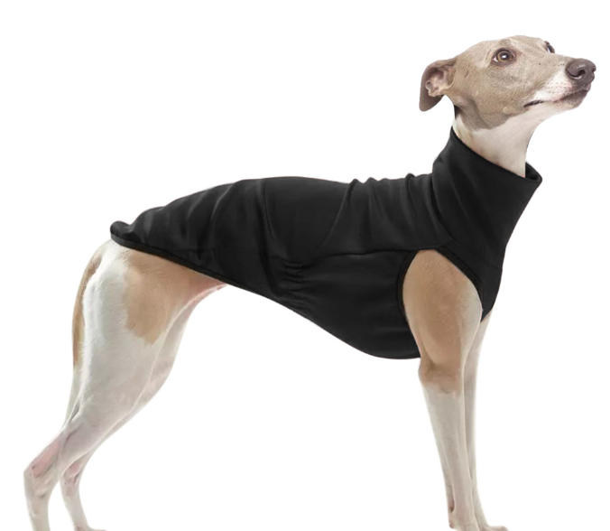 Pet Clothing for Greyhound - New Warm Solid Color Outfit