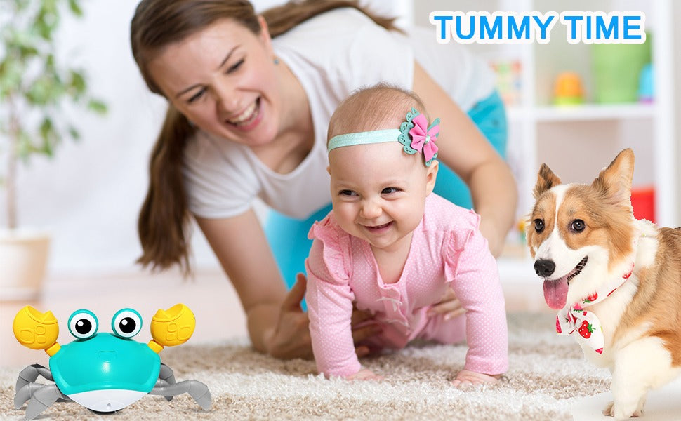 Interactive Crawling Crab Pet Toy