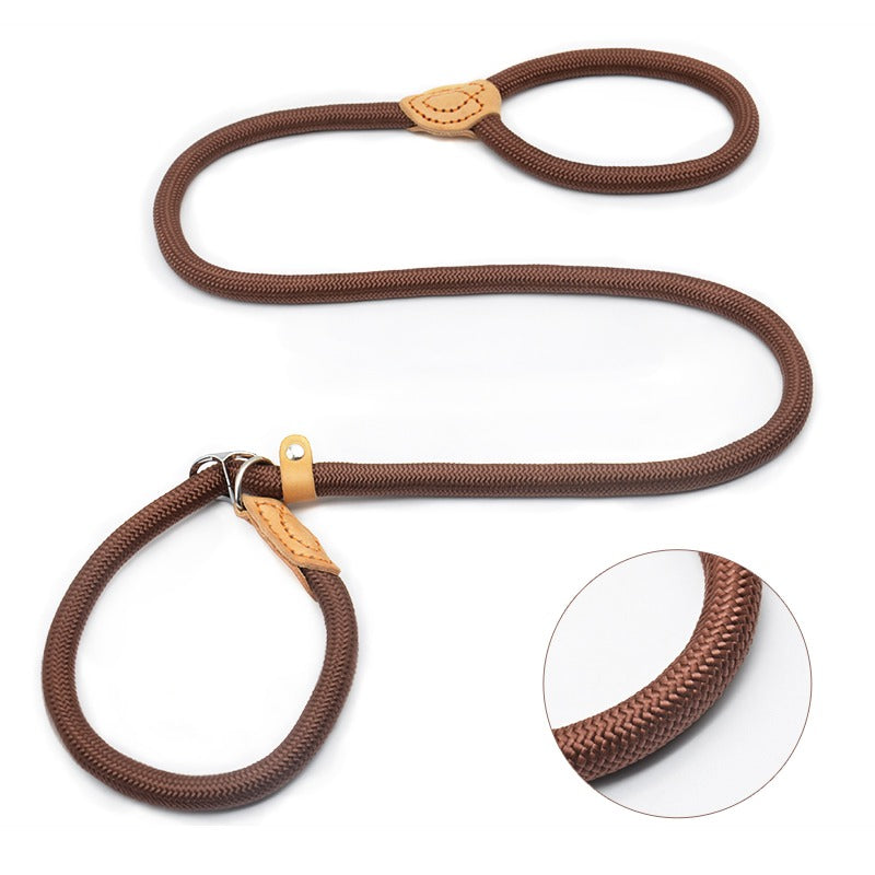 Chain Slip Dog Leash