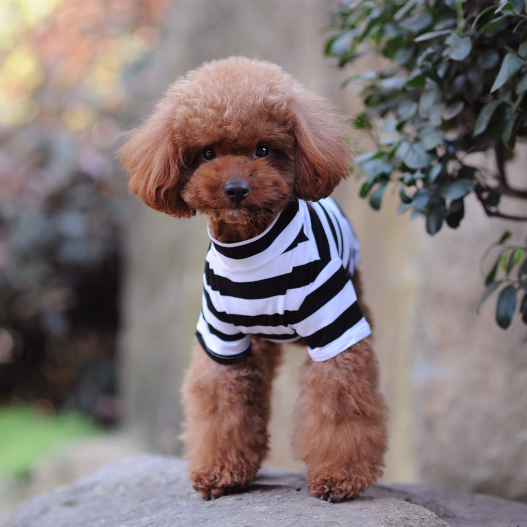 Striped Pet Tank Top for Small Dogs and Cats