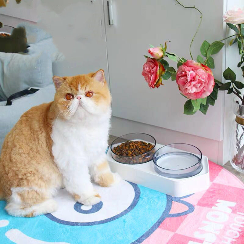 Adjustable Hexagonal Pet Bowl with Dual Sections