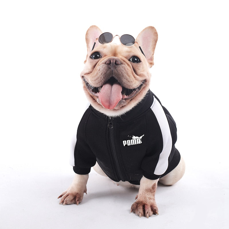 Sweater for Dogs - Athletic Pet Clothing for Small Breeds