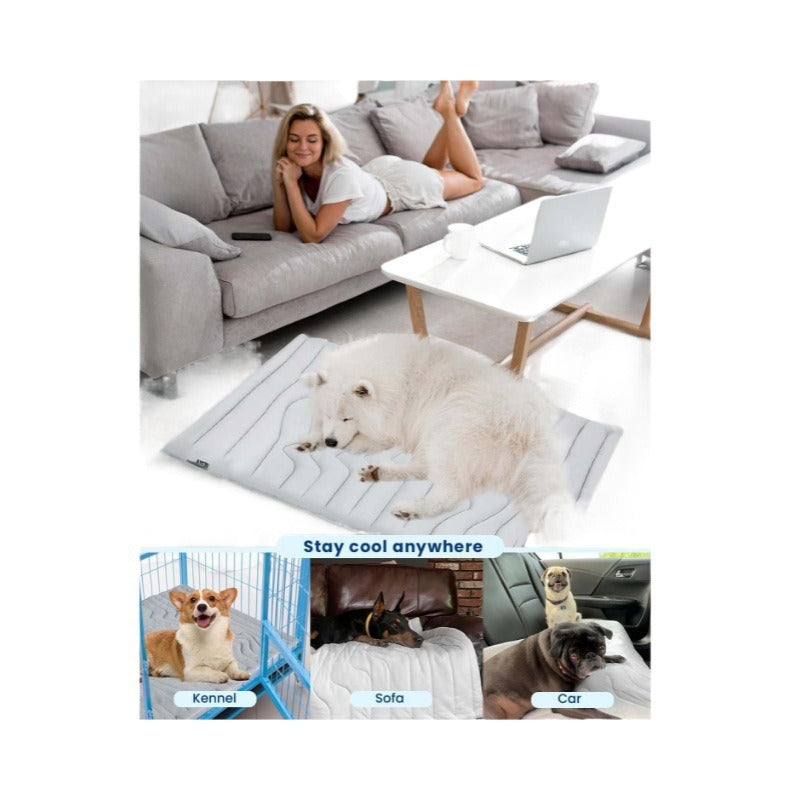 All-Season Cooling Ice Silk Pet Mat