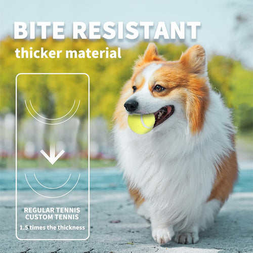 Automatic Electric Tennis Ball Launcher for Pets