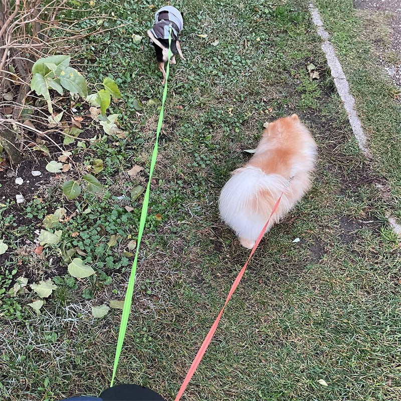 Retractable Dual Dog Leash with Light, 360° Swivel