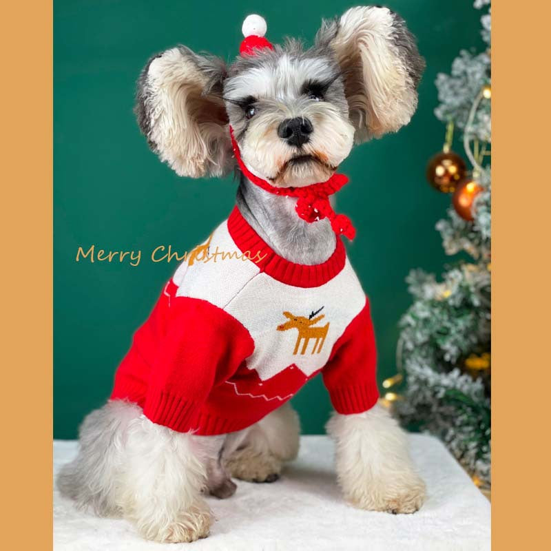Knit Sweater for Dogs - Autumn and Winter Wear