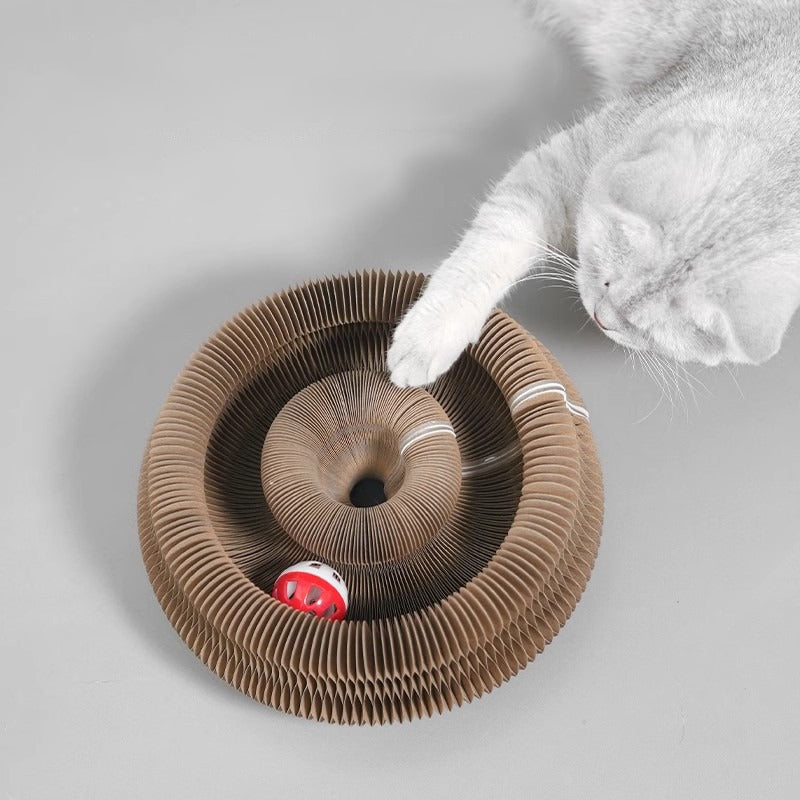Accordion Cat Scratching Toy
