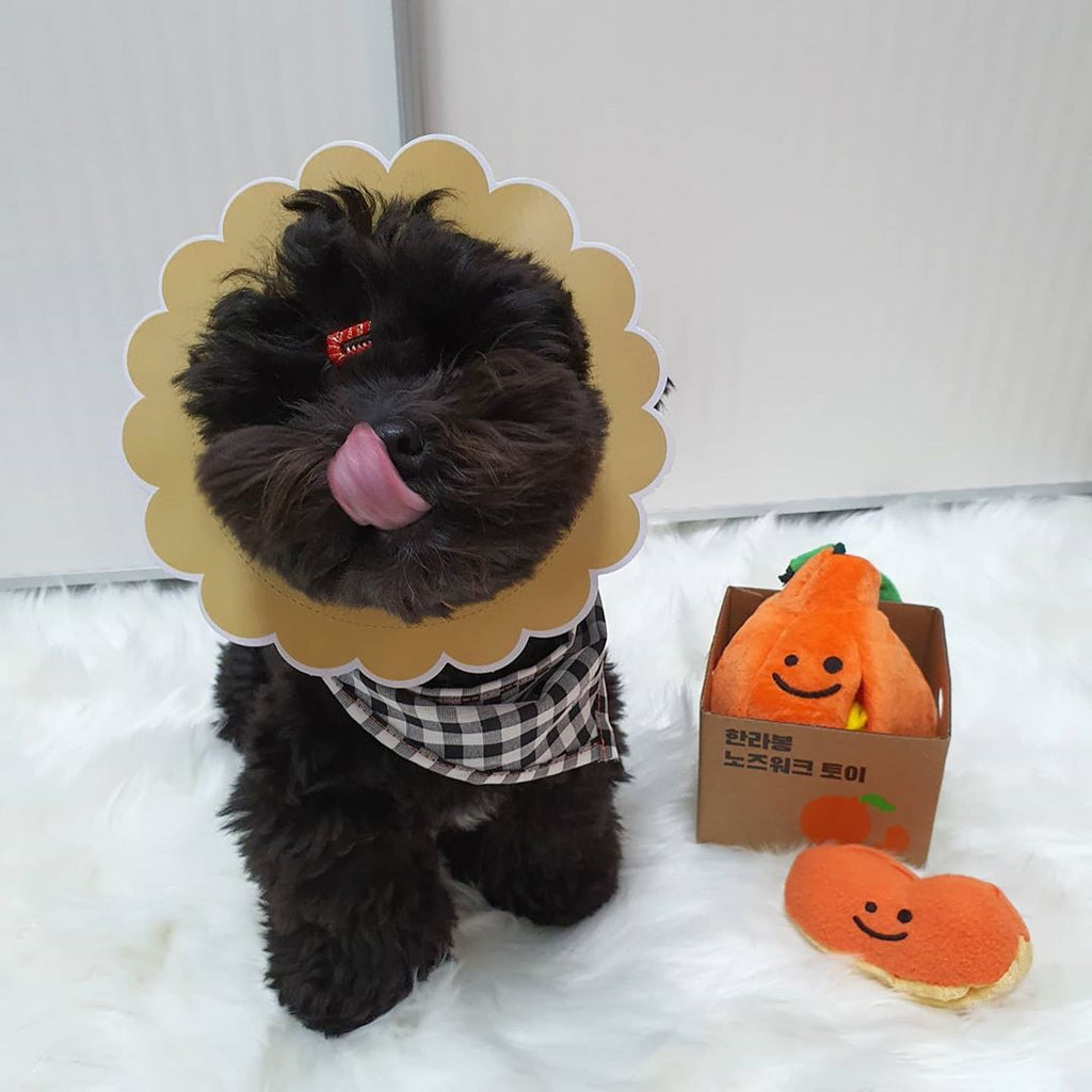 Korean Dog Sniffing Toy with Sound for Pets