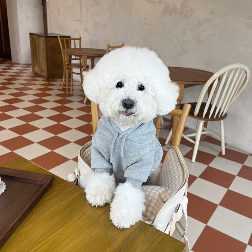 Small Pet Hoodie Sweater