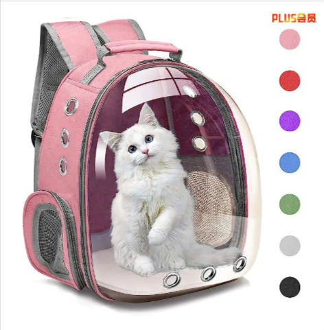 Large Transparent Cat Backpack