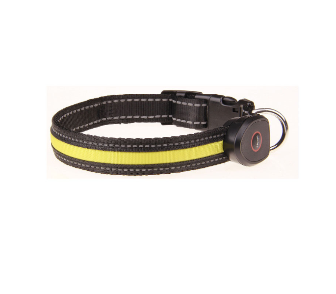 Luminous Dog Collar for Nighttime Visibility