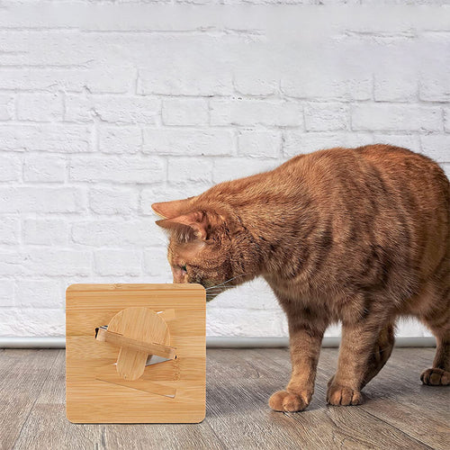 Bamboo Elevated Cat Bowl Stand with Dual Bowls