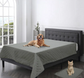 Pet Sofa Bed Cushion