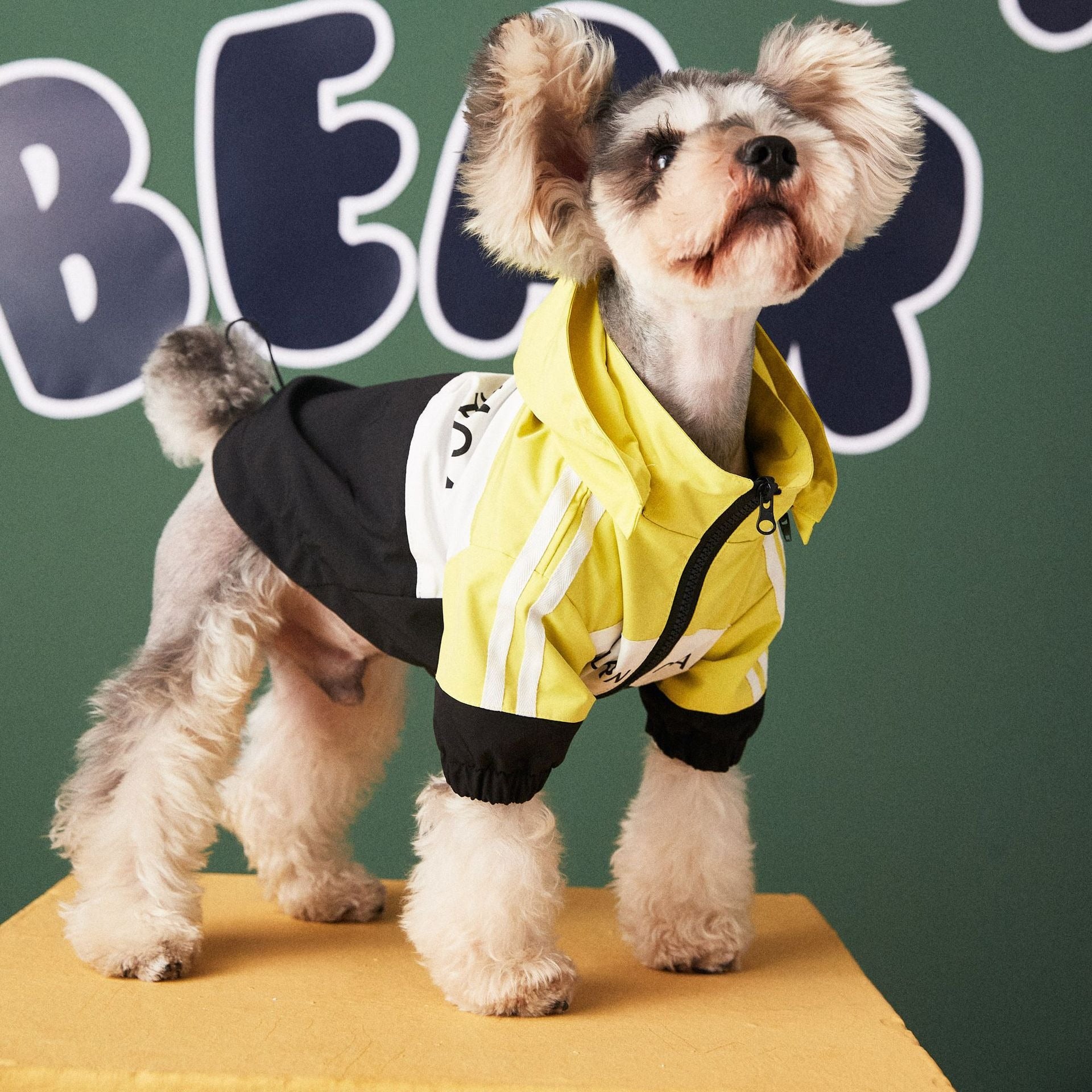 Dog Waterproof Raincoat Jacket