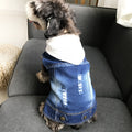 Spring Autumn Teddy Denim Vest for Small Dogs and Cats