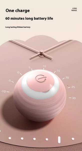 Pet Play Ball