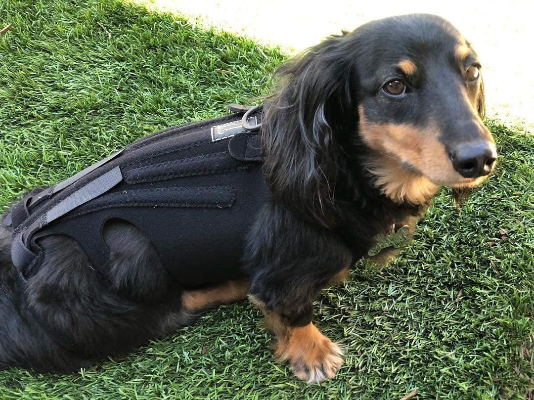Dog Injury-Relief Vest