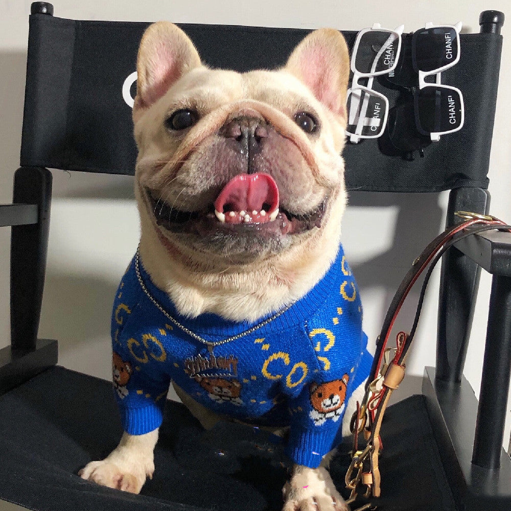 Autumn and Winter Fashion for Dogs