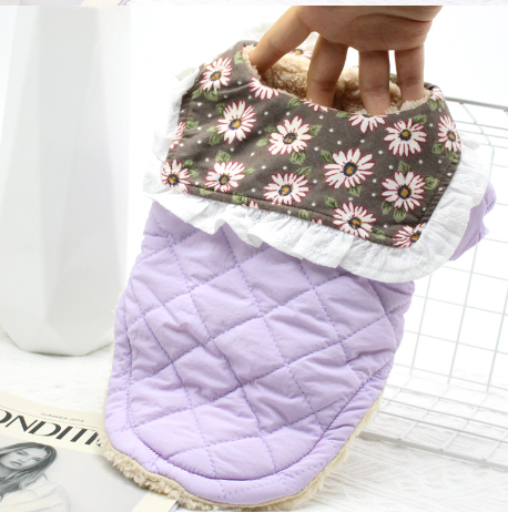 Winter Clothes for Small Dogs with Daisy Collar