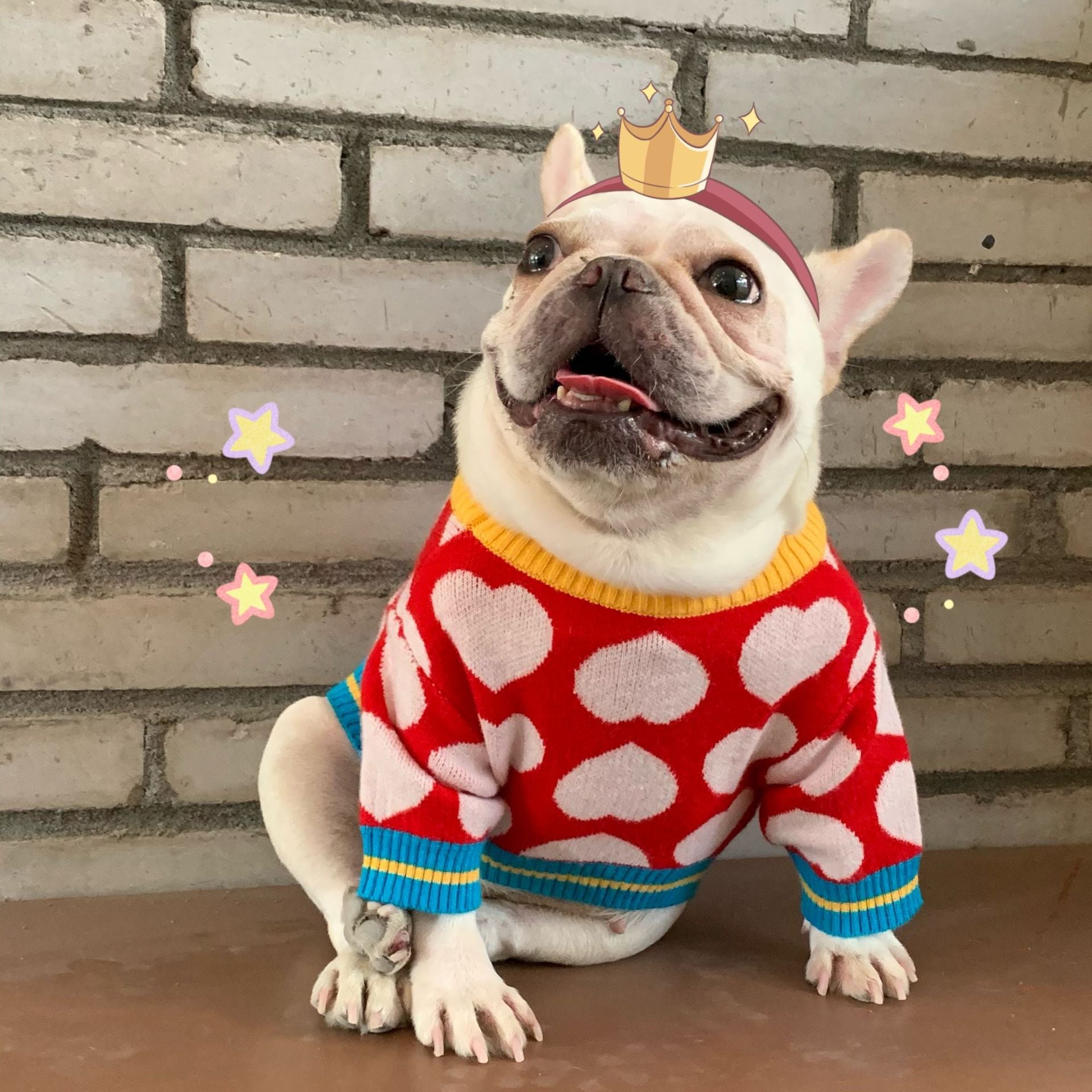 Trendy Pet Sweatshirts for Dogs and Cats (Fall/Winter)
