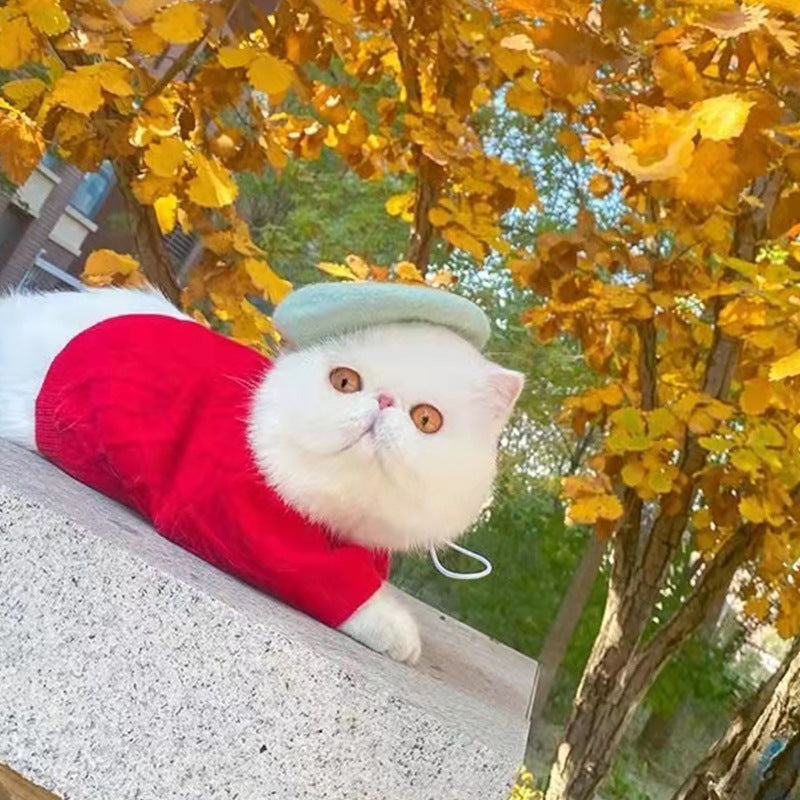 Ins Style Wool Beret for Pets - Dog and Cat Accessory