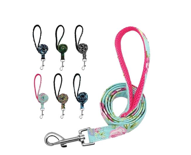 Dog Collar and Leash for Large Dogs
