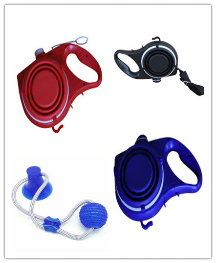 Pet Leash