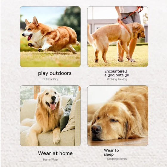 Water Resistant Dog Apron