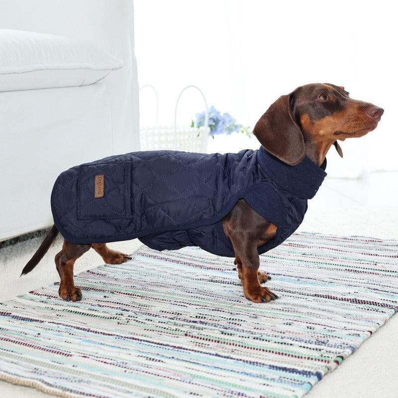 Dog Vest Autumn Winter