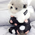 Big Polka Dot Hoodie Coat for Winter Dogs