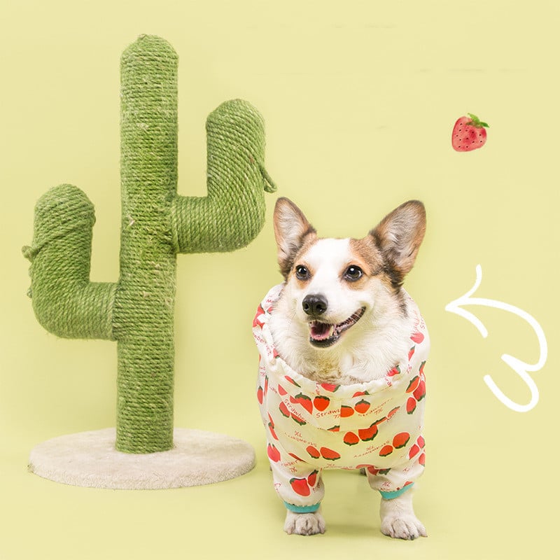 Golden Retriever Corgi Full Wrap Waterproof Coat