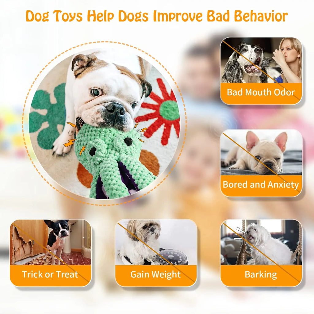 Plush Squeaky Dog Chew Toy
