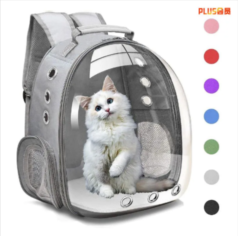 Large Transparent Cat Backpack