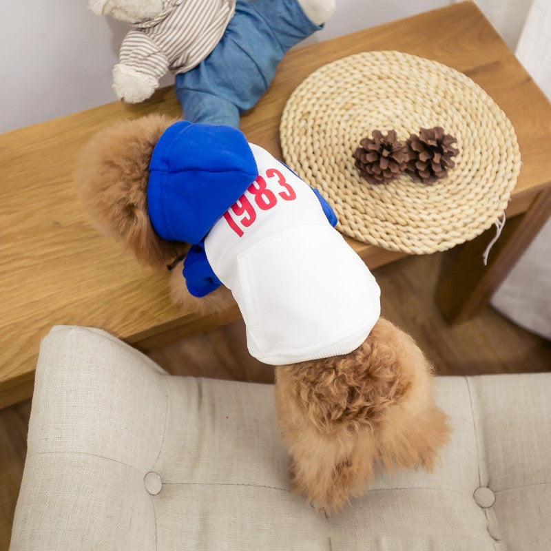 New Fashion Color Matching Dog Clothing Hat