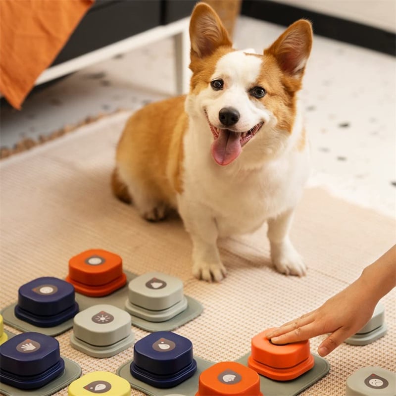 4 Colors Recordable Pet Communication Button Toy