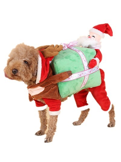Santa Gift Box Pet Costume for Dogs - Winter Outfit