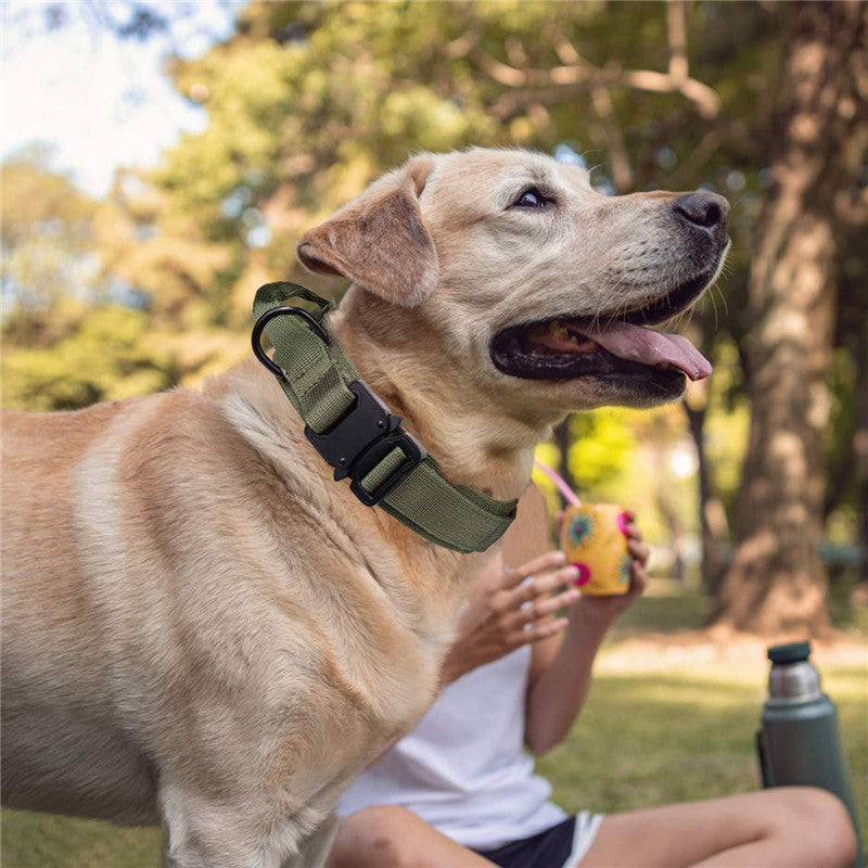 Personalized Fashion Tactical Dog Collar