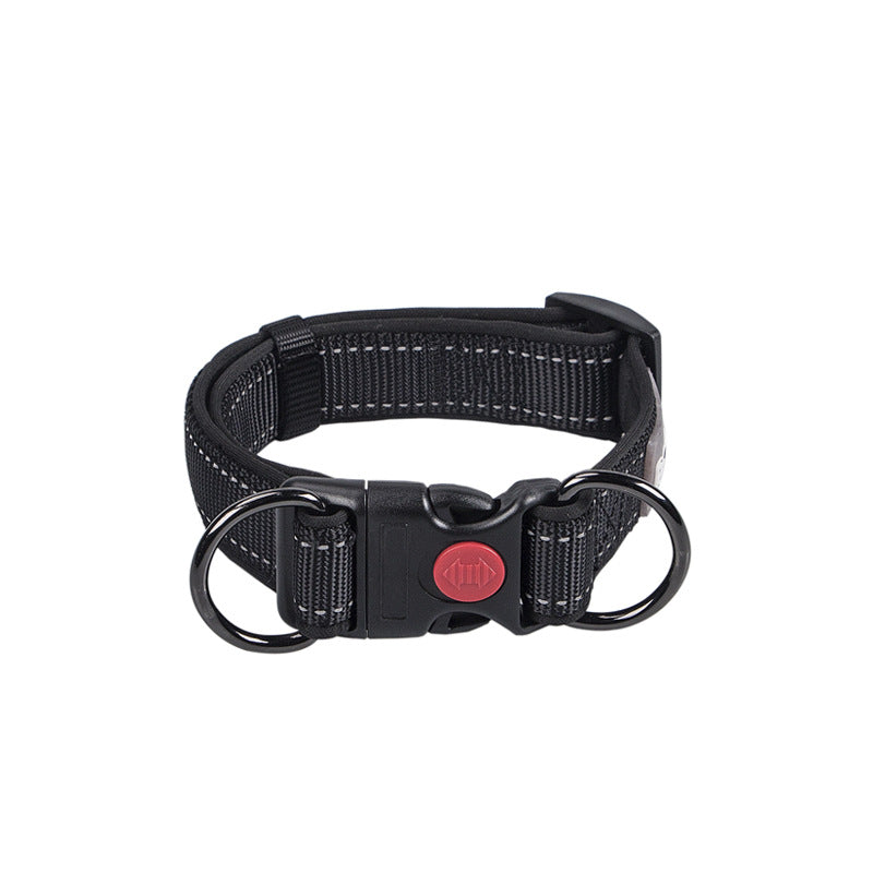 Collared Leash for Small, Medium, and Large Dogs