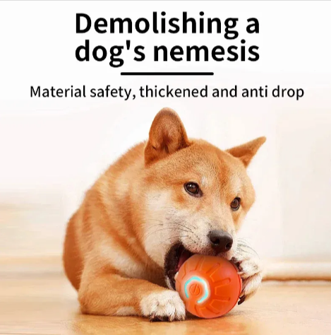USB Interactive Pet Ball