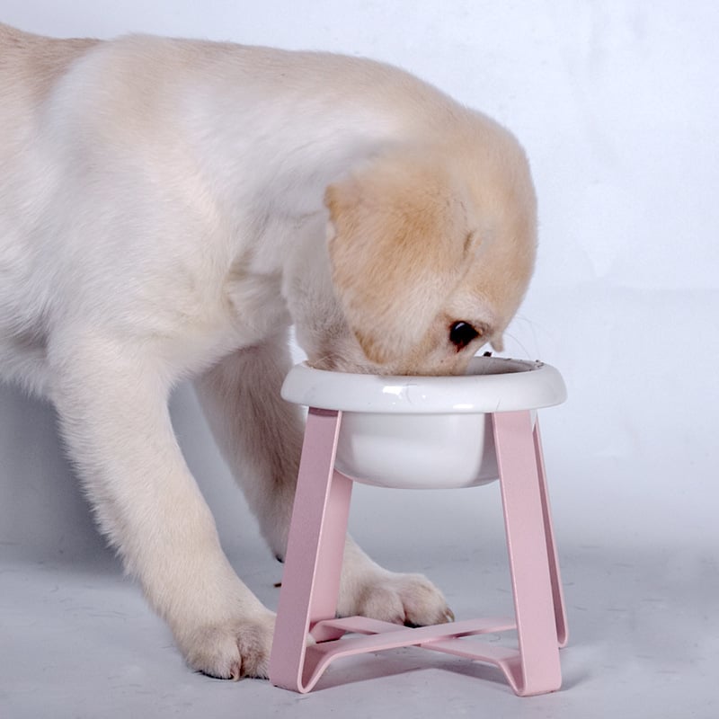 Creative Antislip Cat Feeding Bowl with Iron Stand