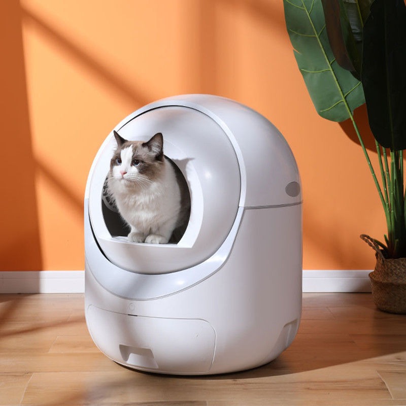 Automatic Litter Box