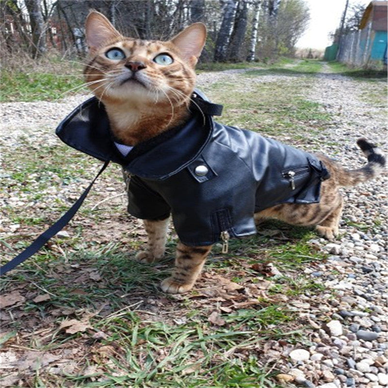 Embroidered Dog Jacket in Eagle PU Leather